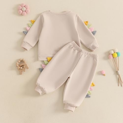 Dinosaur Embroidery Toddler Fall Outfits Animal Style Gawxyz Set