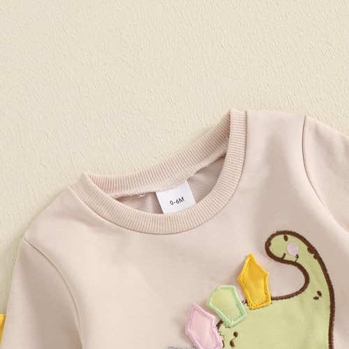 Dinosaur Embroidery Toddler Fall Outfits Animal Style Gawxyz Set