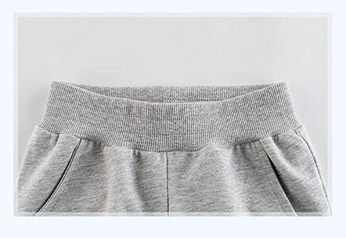 Relaxing Dinosaur Joggers for Boys Soft comfy 2-pack