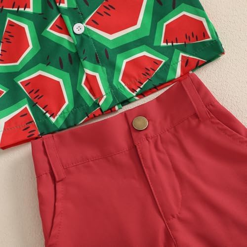 Giraropa Baby Boy Hawaiian Outfit - Summer Beach Set
