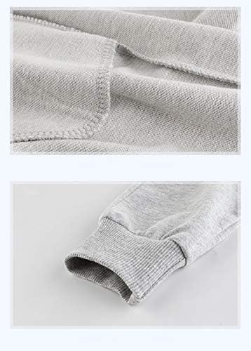 Relaxing Dinosaur Joggers for Boys Soft comfy 2-pack