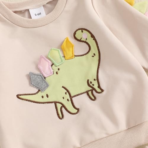 Dinosaur Embroidery Toddler Fall Outfits Animal Style Gawxyz Set
