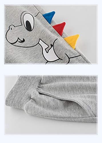 Relaxing Dinosaur Joggers for Boys Soft comfy 2-pack