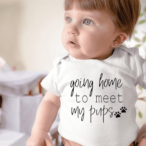 Going Home to Meet My Pups Coming Soon Announcement