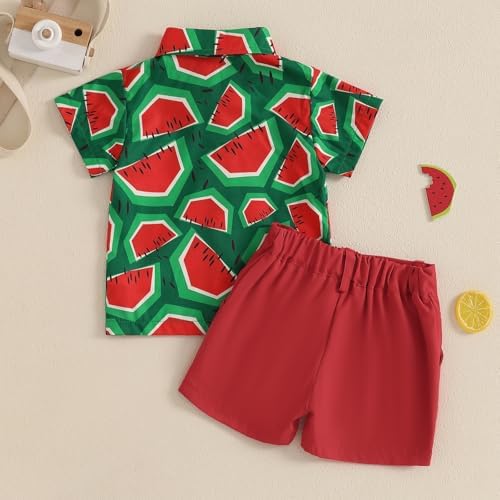 Giraropa Baby Boy Hawaiian Outfit - Summer Beach Set