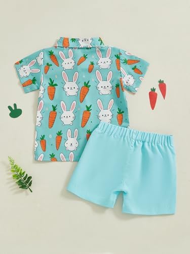 Easter Rabbit Print Toddler Outfit