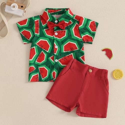 Giraropa Baby Boy Hawaiian Outfit - Summer Beach Set