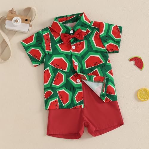 Giraropa Baby Boy Hawaiian Outfit - Summer Beach Set