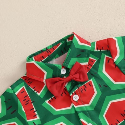 Giraropa Baby Boy Hawaiian Outfit - Summer Beach Set