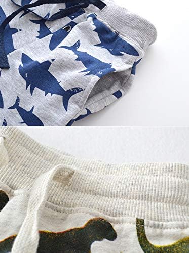Dinosaur Car Journey joggers for boys soft comfortable