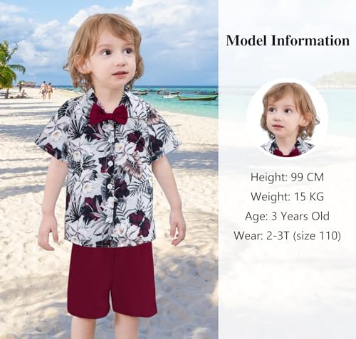 Creative Hawaiian-Style Boys Shorts Set for Toddlers