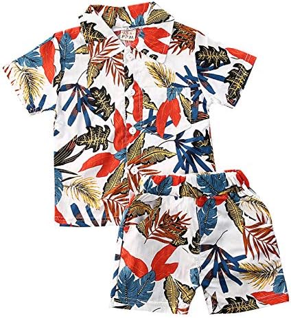 Qiylii Toddler Boys Floral Hawaiian Outfit Set