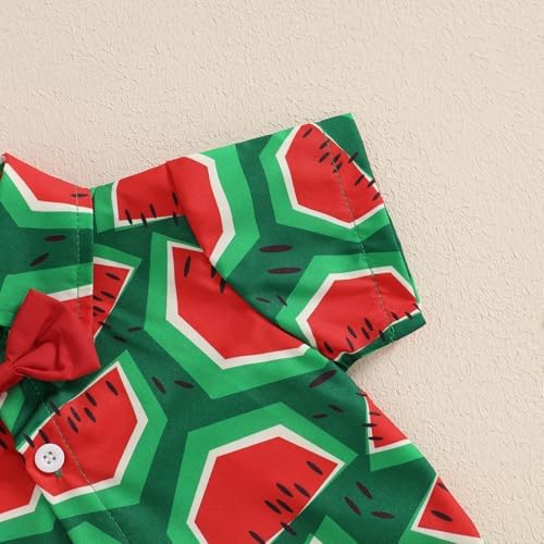 Giraropa Baby Boy Hawaiian Outfit - Summer Beach Set