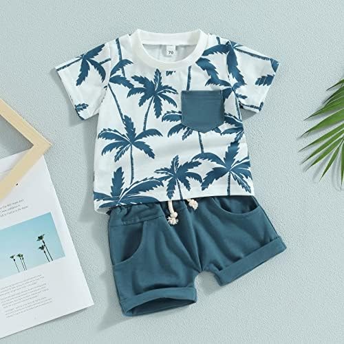 Afunbaby Toddler Boy Summer Outfits T-Shirts and Shorts