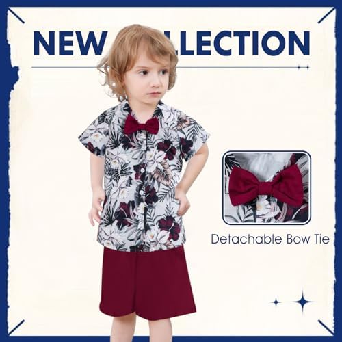 Creative Hawaiian-Style Boys Shorts Set for Toddlers