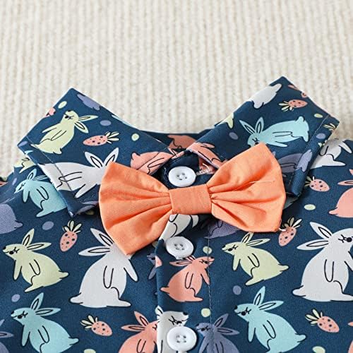 AMIMOJY Easter Rabbit Kids T-Shirt Shorts Set