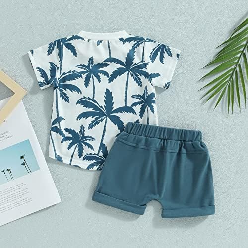 Afunbaby Toddler Boy Summer Outfits T-Shirts and Shorts