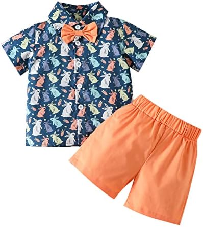 AMIMOJY Easter Rabbit Kids T-Shirt Shorts Set