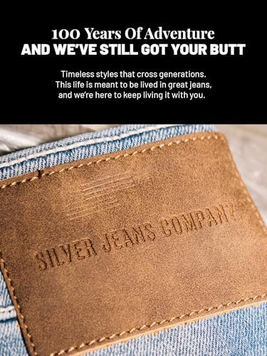 Silver Jeans Co Womens Plus Size Boyfriend Jeans