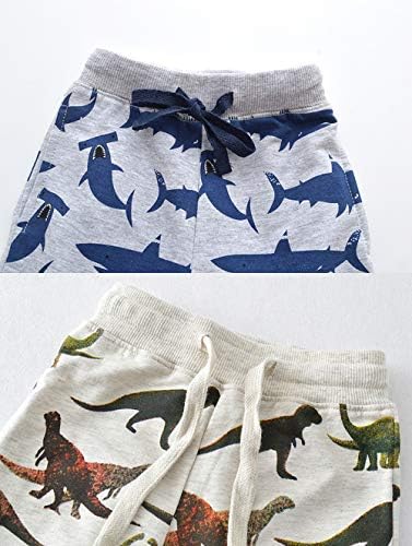 Dinosaur Car Journey joggers for boys soft comfortable