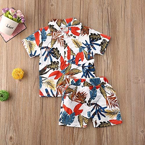 Qiylii Toddler Boys Floral Hawaiian Outfit Set