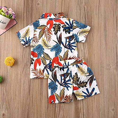Qiylii Toddler Boys Floral Hawaiian Outfit Set